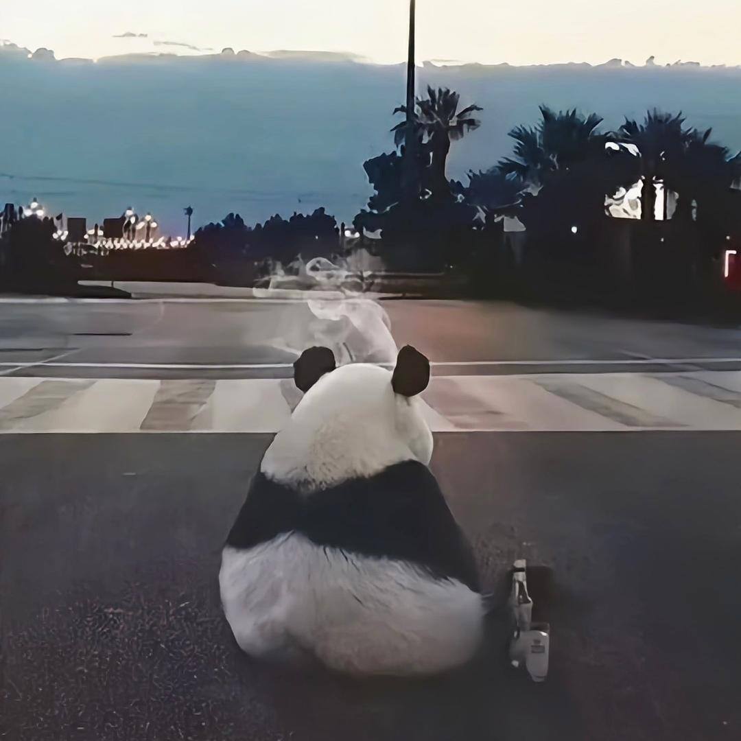 龙丧彪