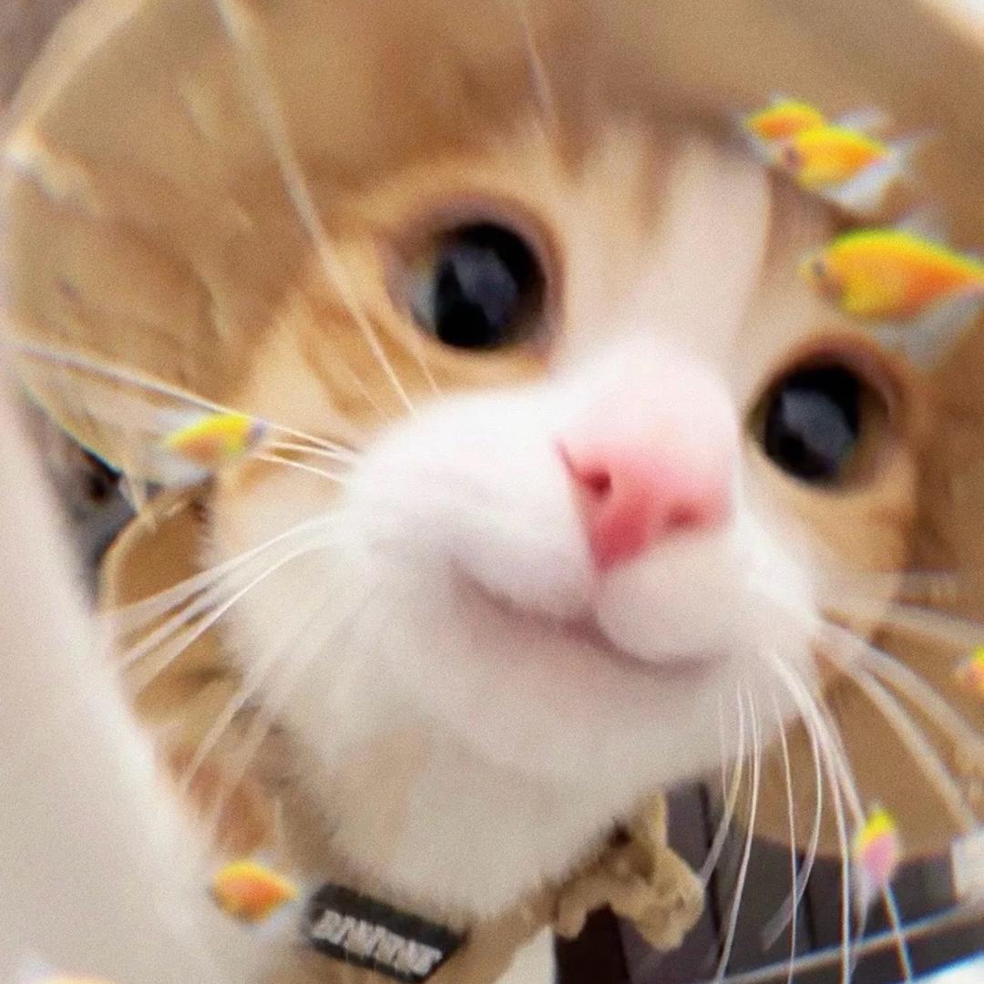 超级小丸✧˖