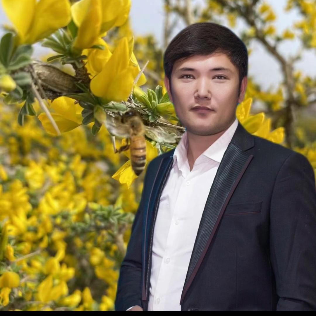 无限乐福养殖蜂蜜