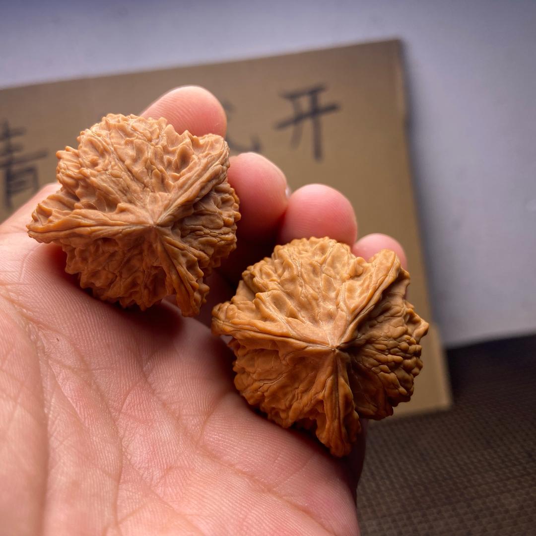 十一青皮文玩