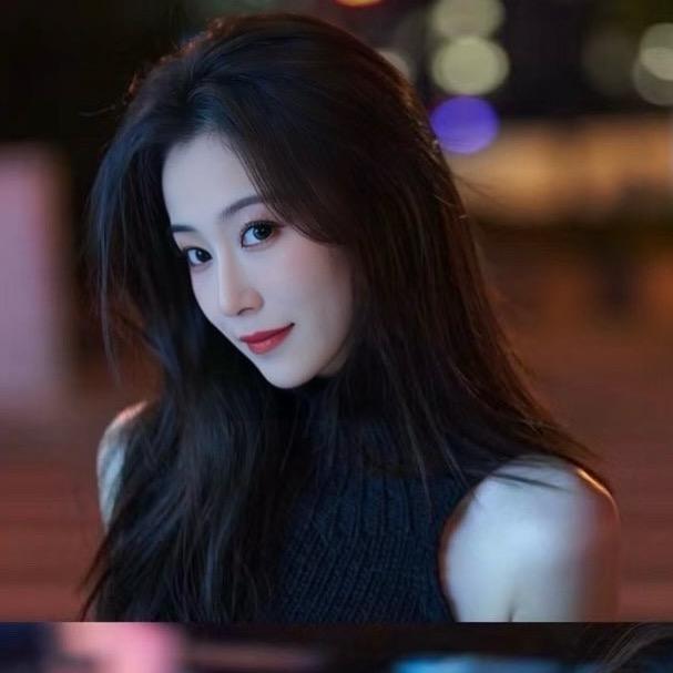 海上森林一只猫