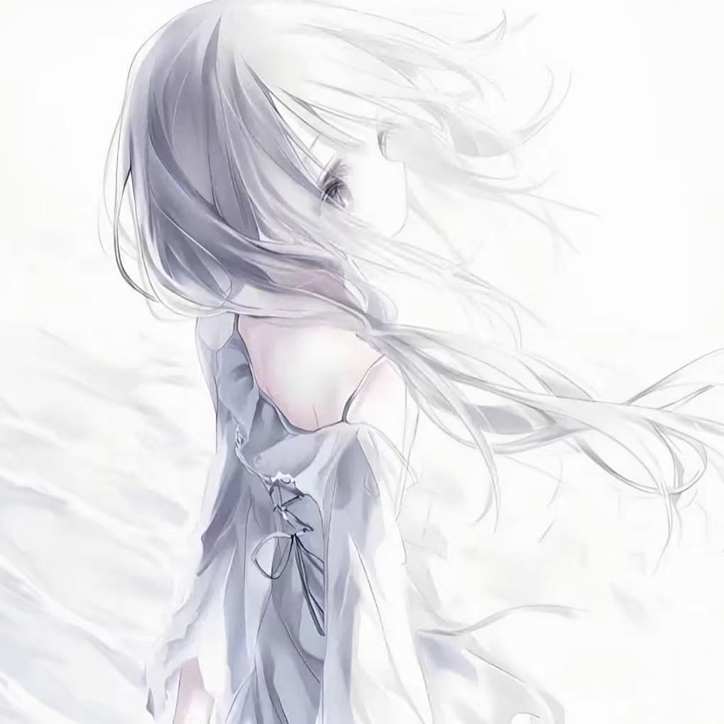 小灰0.