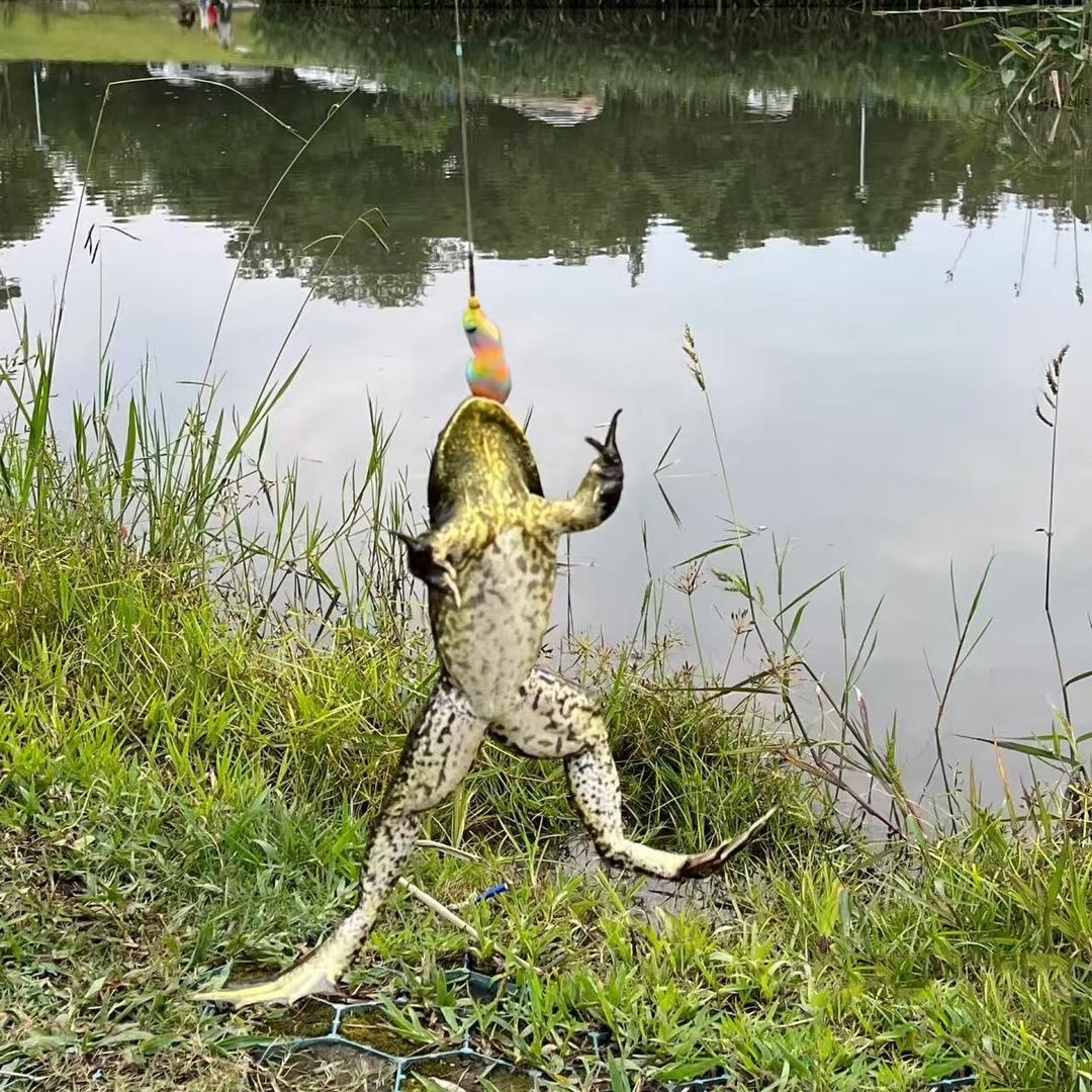黑坑野钓添加剂精选工厂店