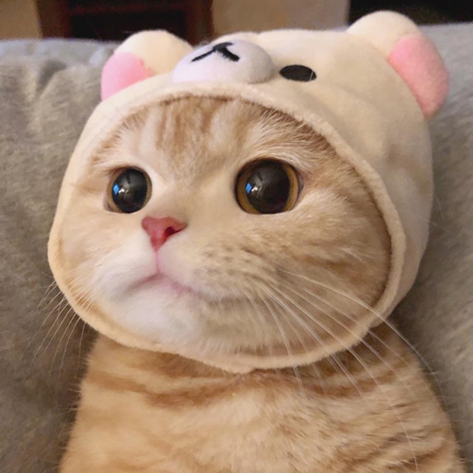 包子包子