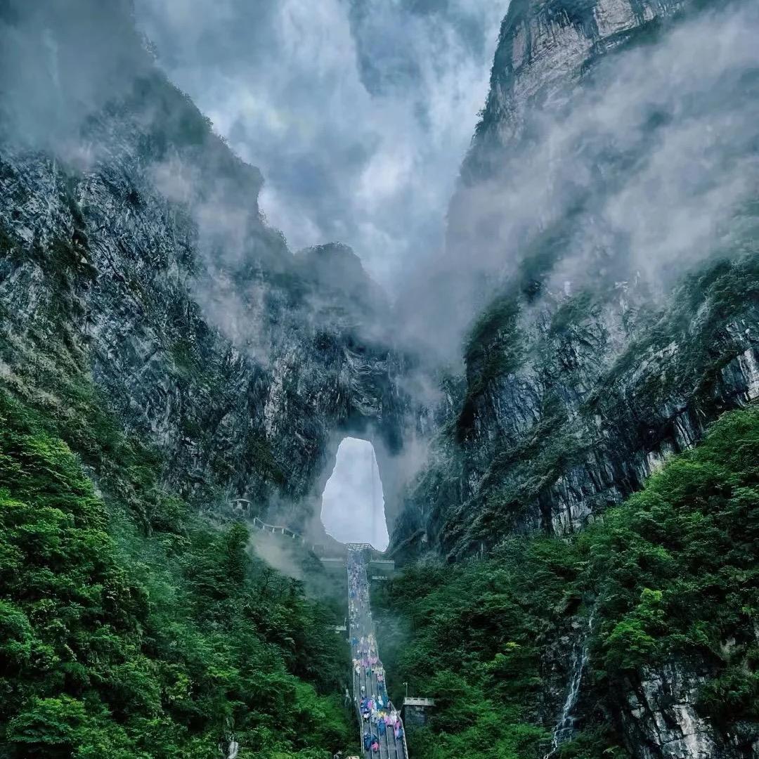 张老师吖