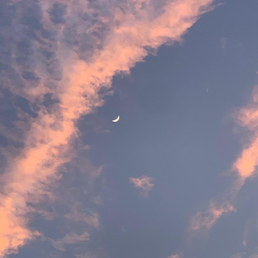 wen雯(达人主播版）