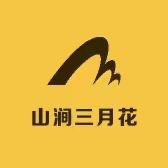山涧三月花纯手工饰品