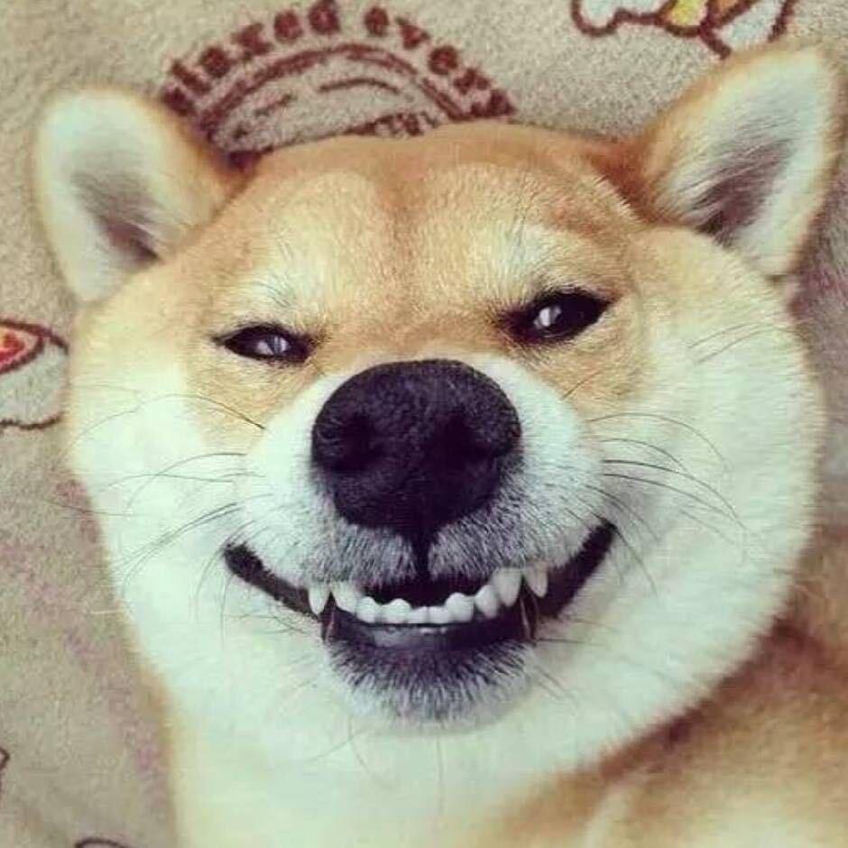 热心网🐶