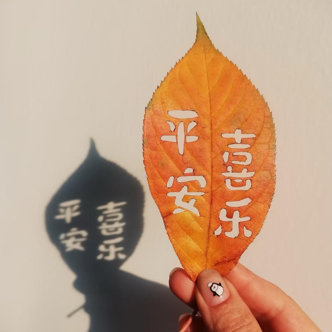 宏乐甄选