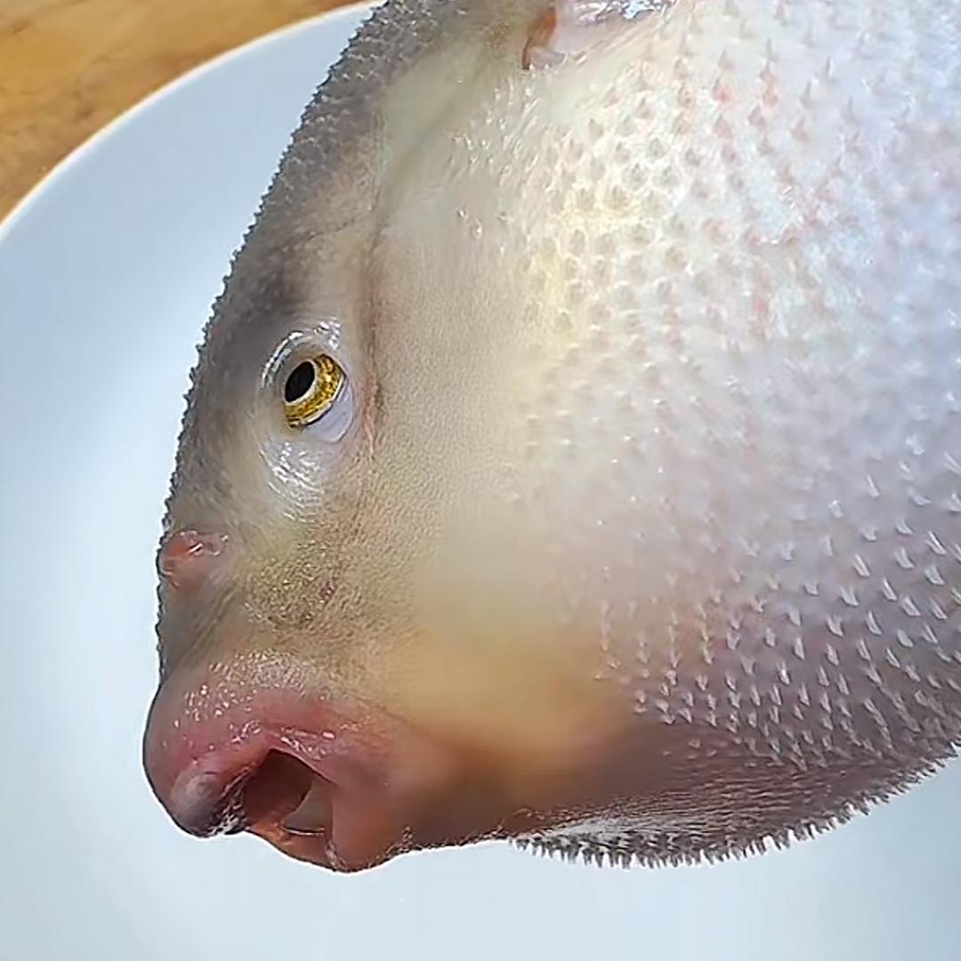 大麦寻食记