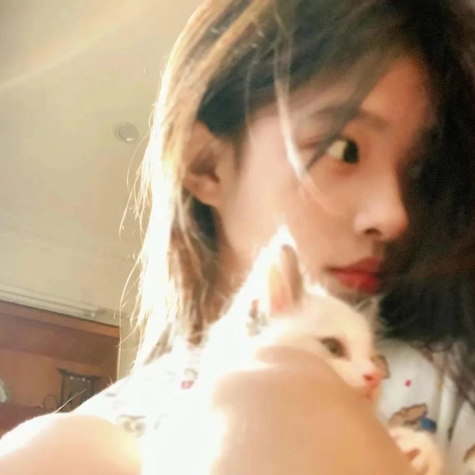 一年不打麻将牌人士