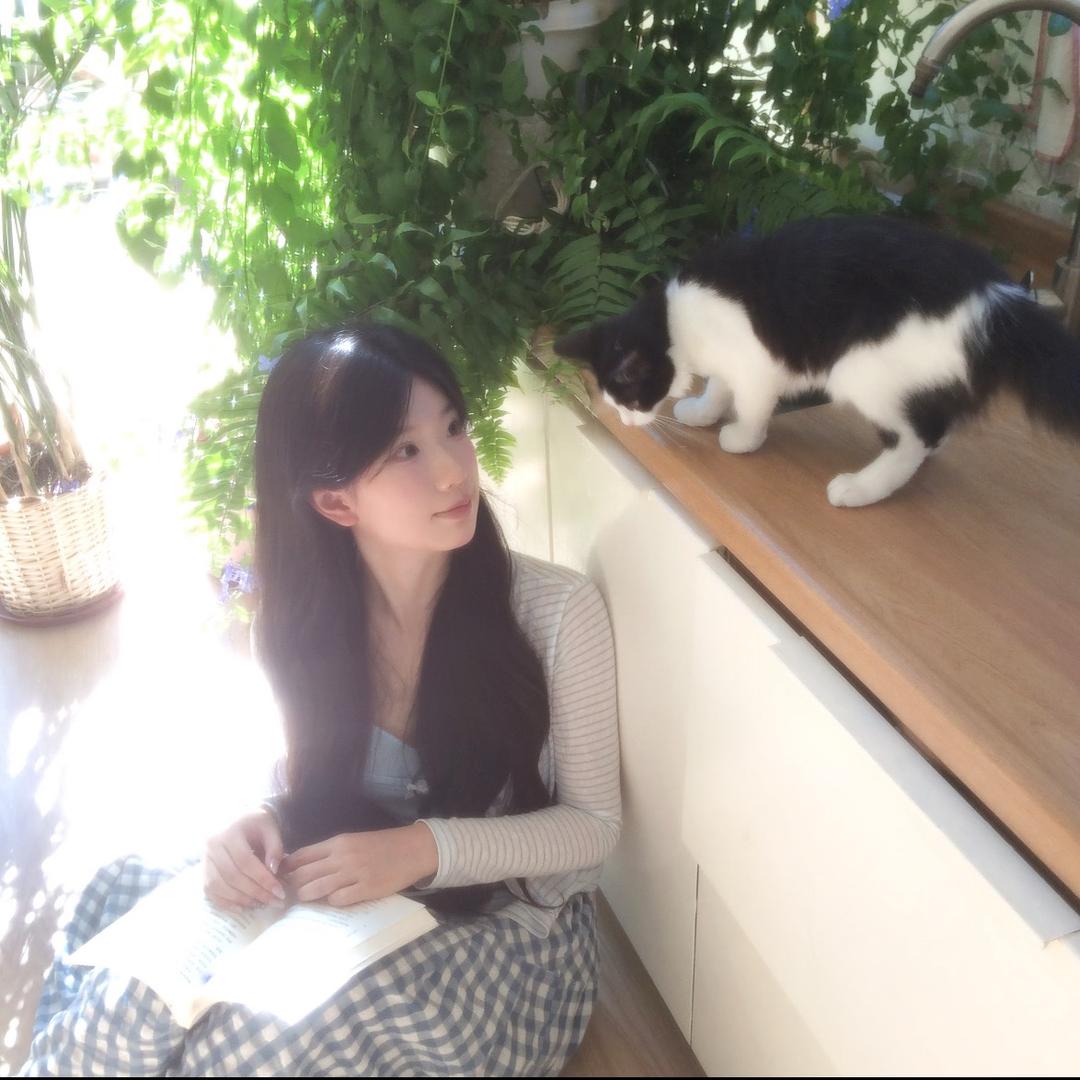 逢凶化吉小姐.