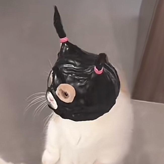 小眠酱鸭！