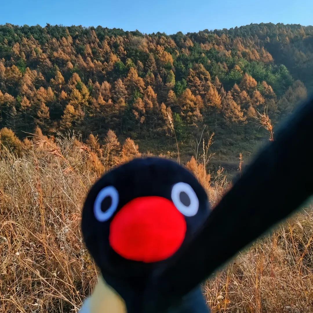 ✌️