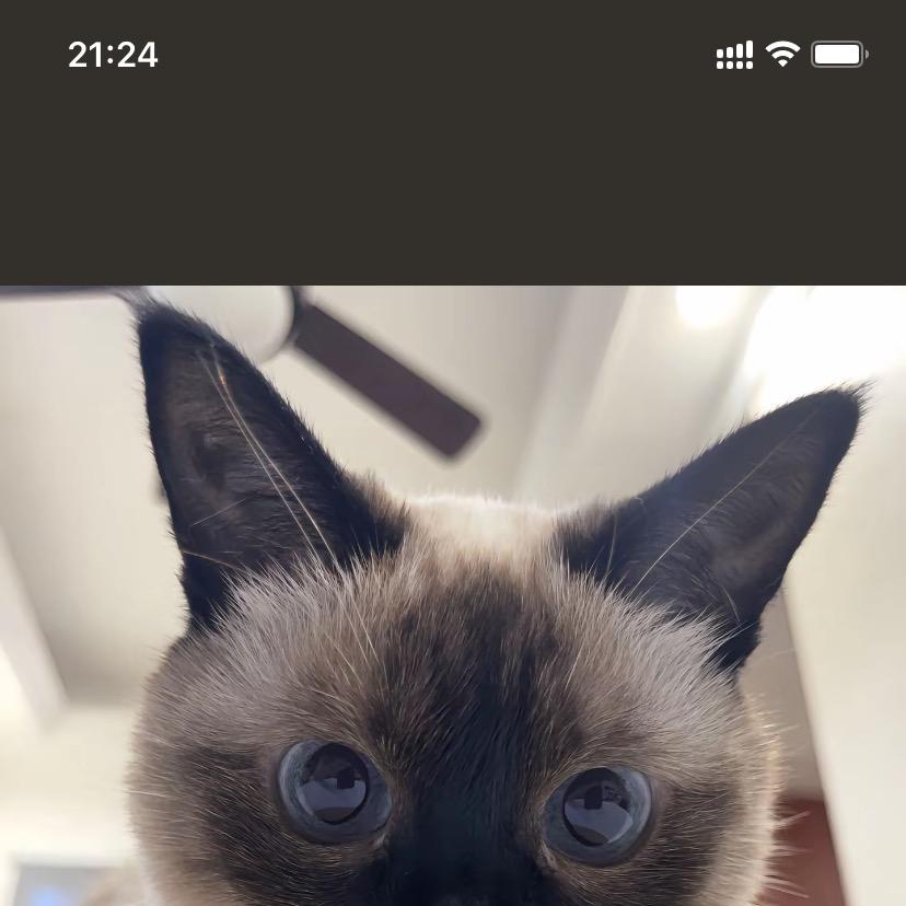 吱吱商贸甄选666