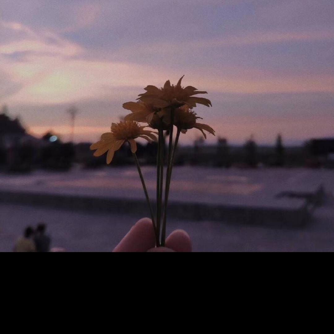 ∝小温柔’ф