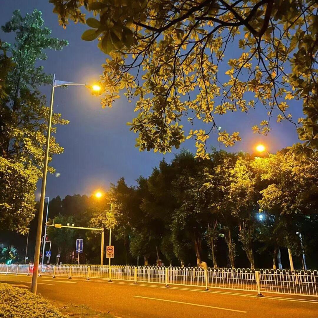 玟郦坤商贸运营号