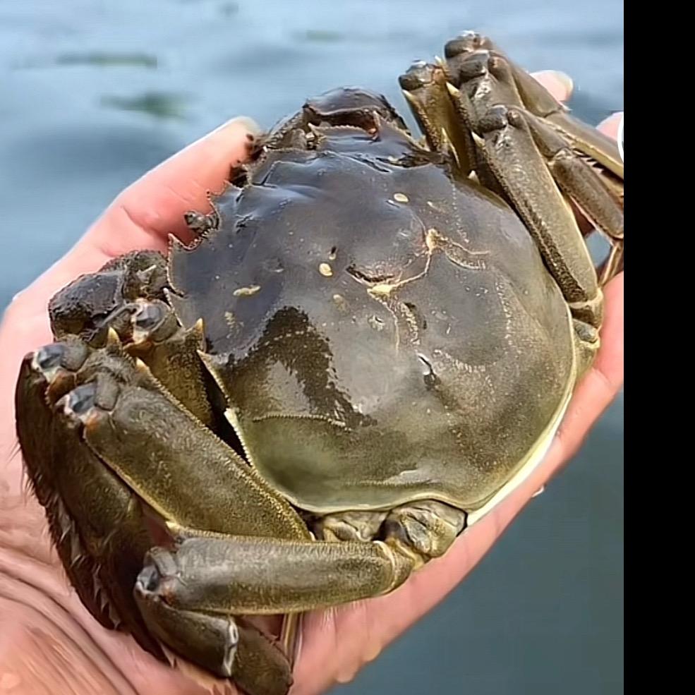 永润精品