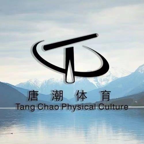 唐潮台球杆维修2号（广州店）