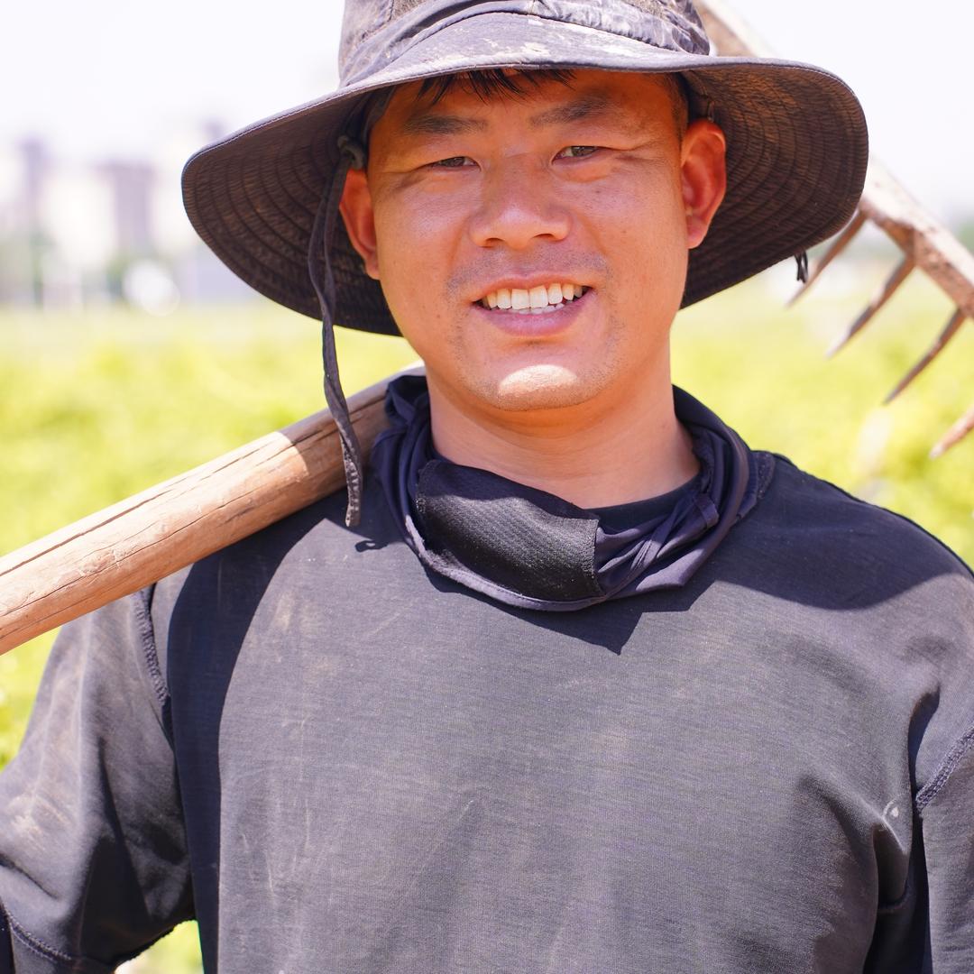 种铁棍山药的小朱