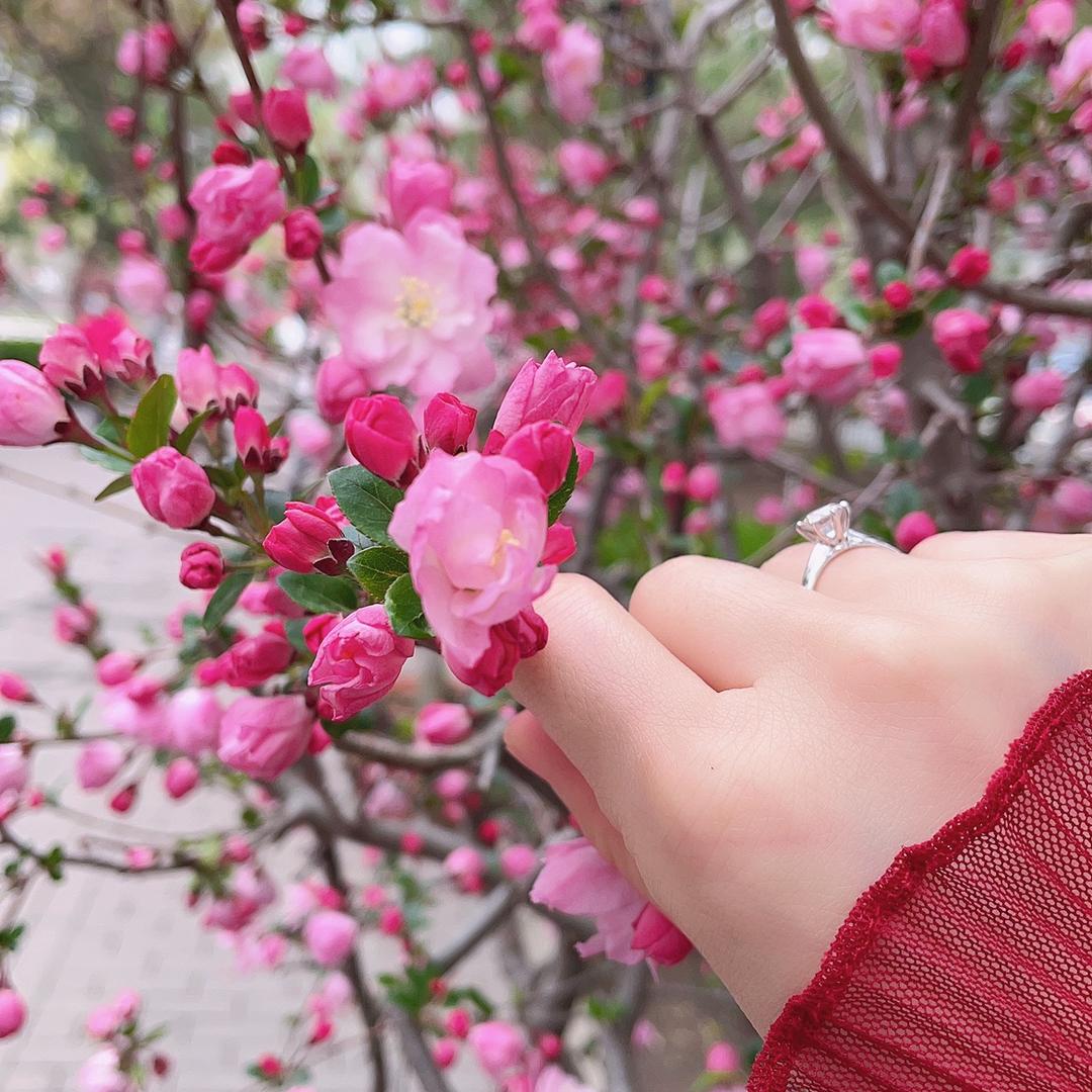 @十三