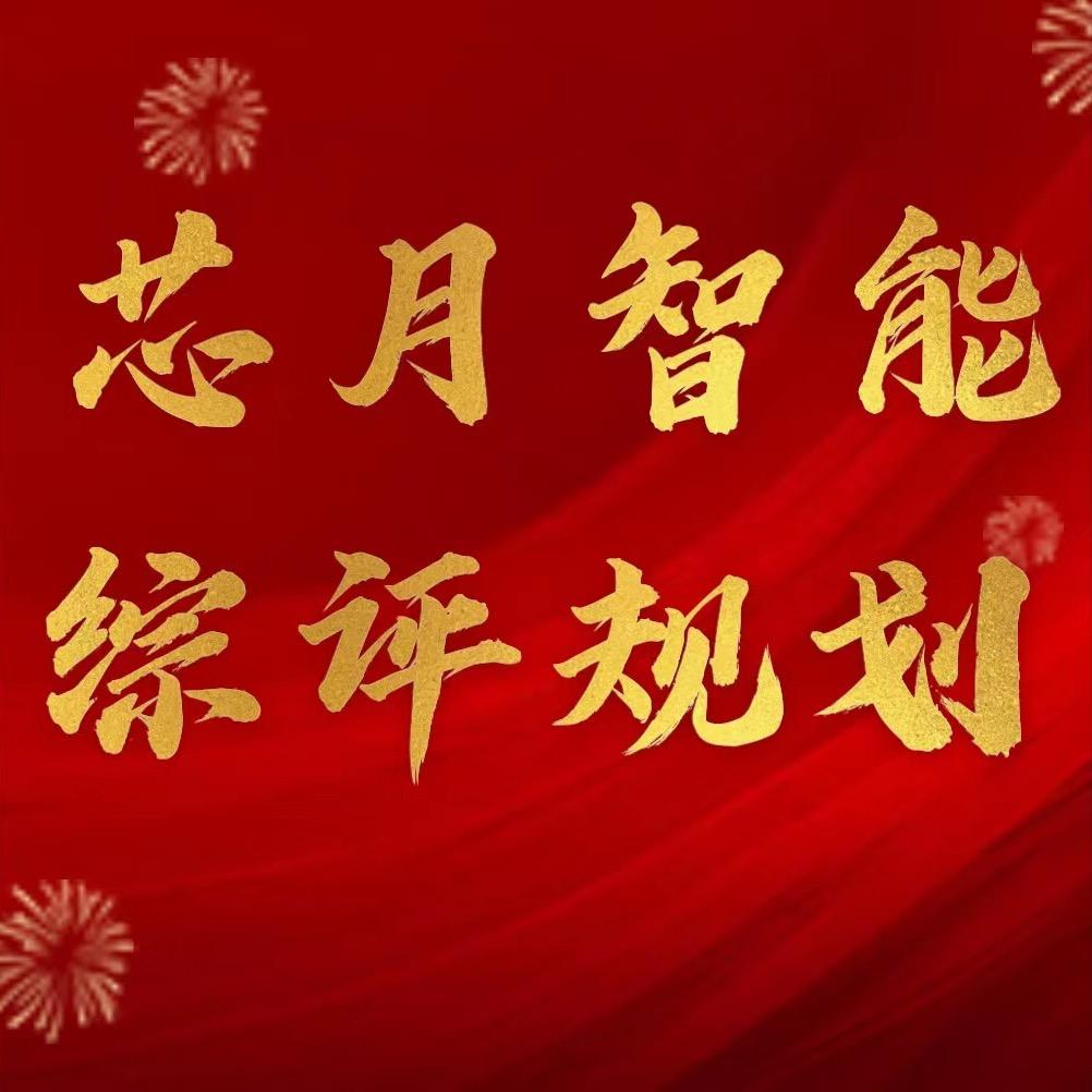 芯月智能综评规划