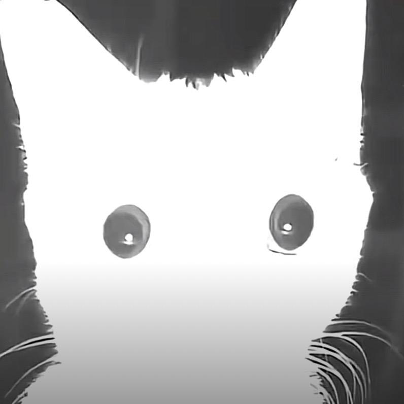 光
