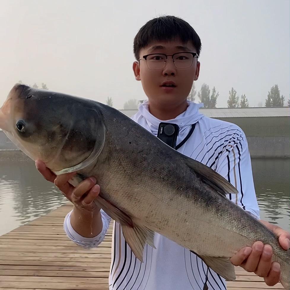 爱钓鱼的落小羽