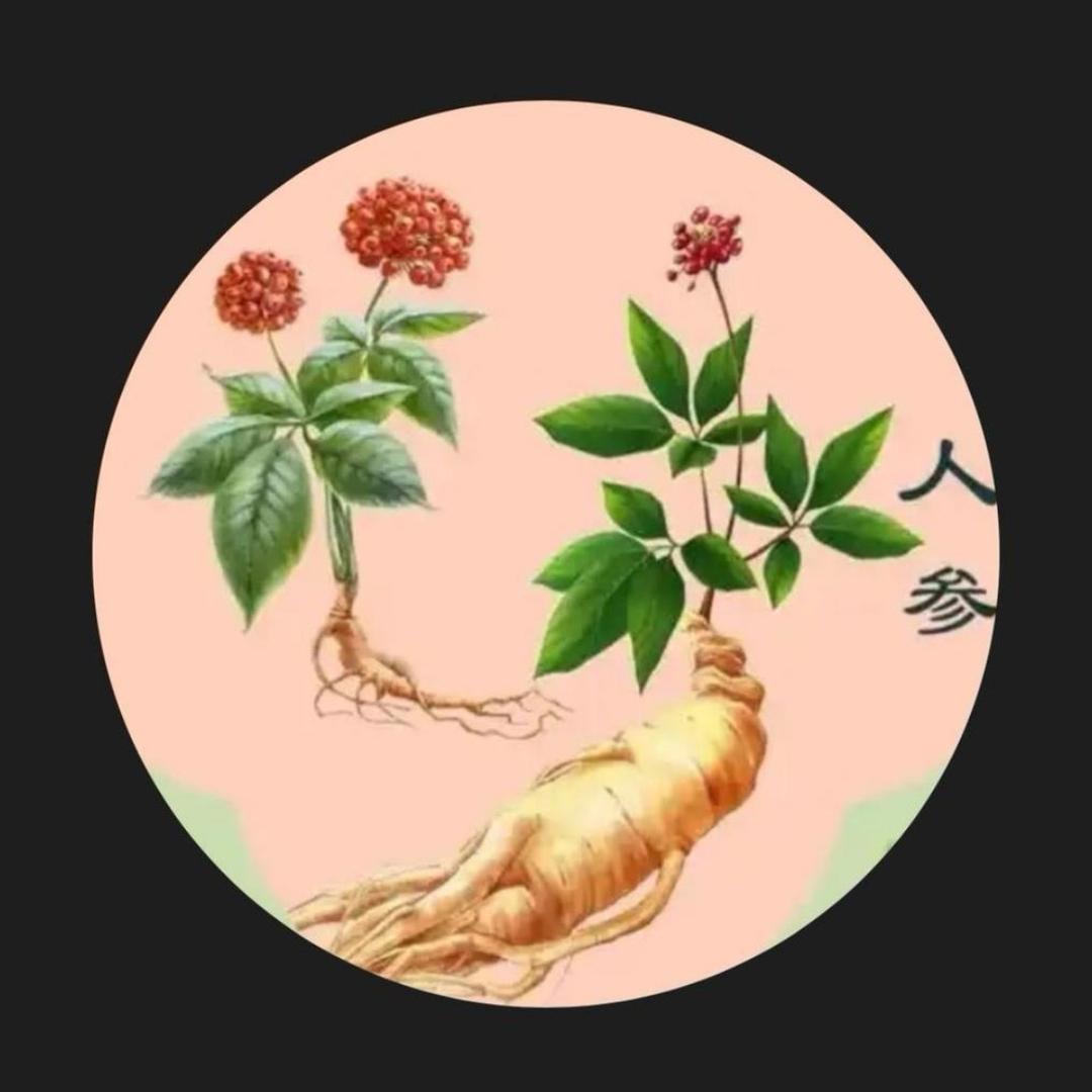 参🌸参