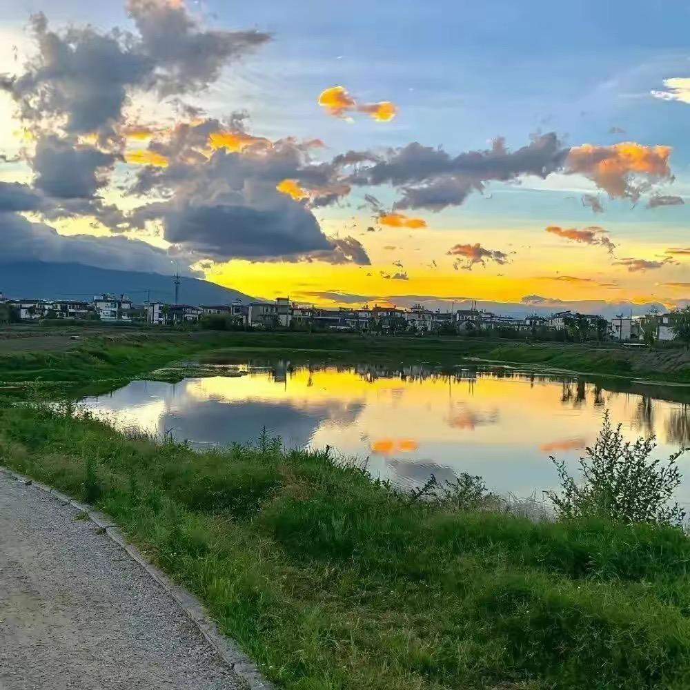 茯源堂：直播号