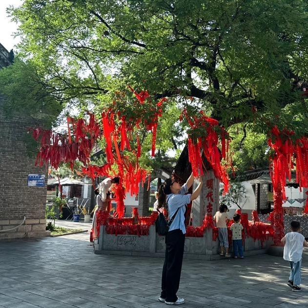 阴大侠