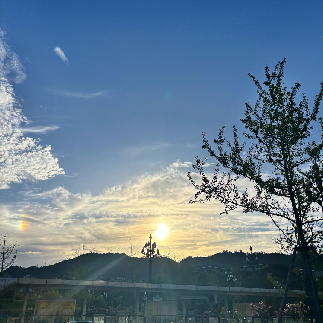 梦到了该醒的时候了