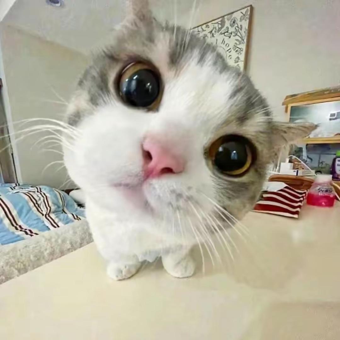 ᵔ