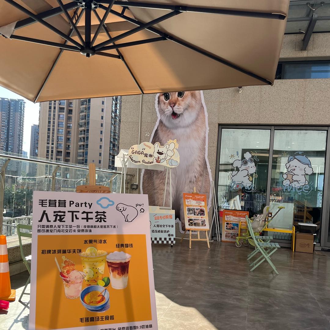 GAGA宠咖·低压脱敏洗护·人宠社交