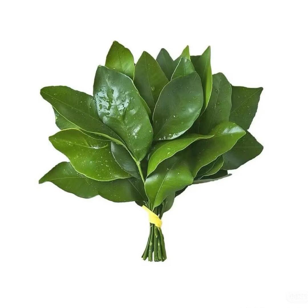 巫栗