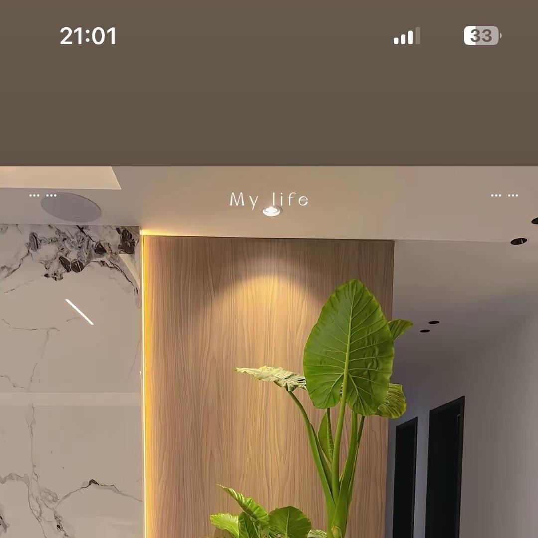 水莲花艺园666超值得