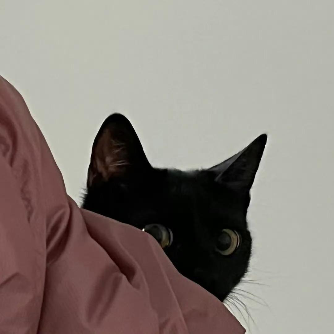 湄洲岛沐海民宿