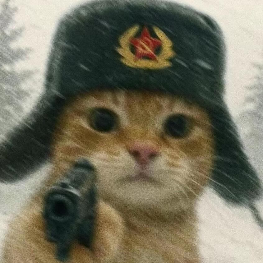 猫7