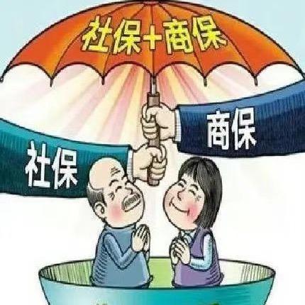 社保顾问娜娜