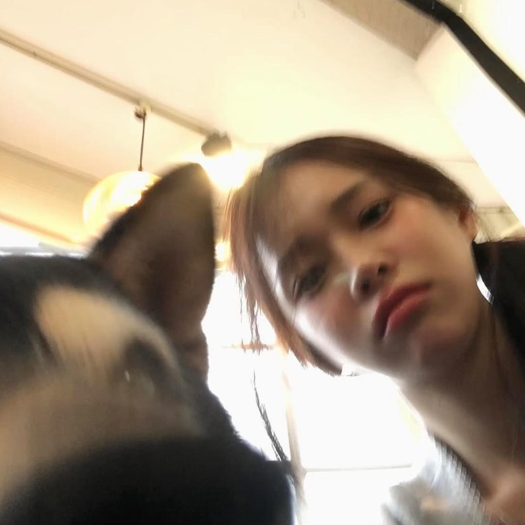 叮叮当猫