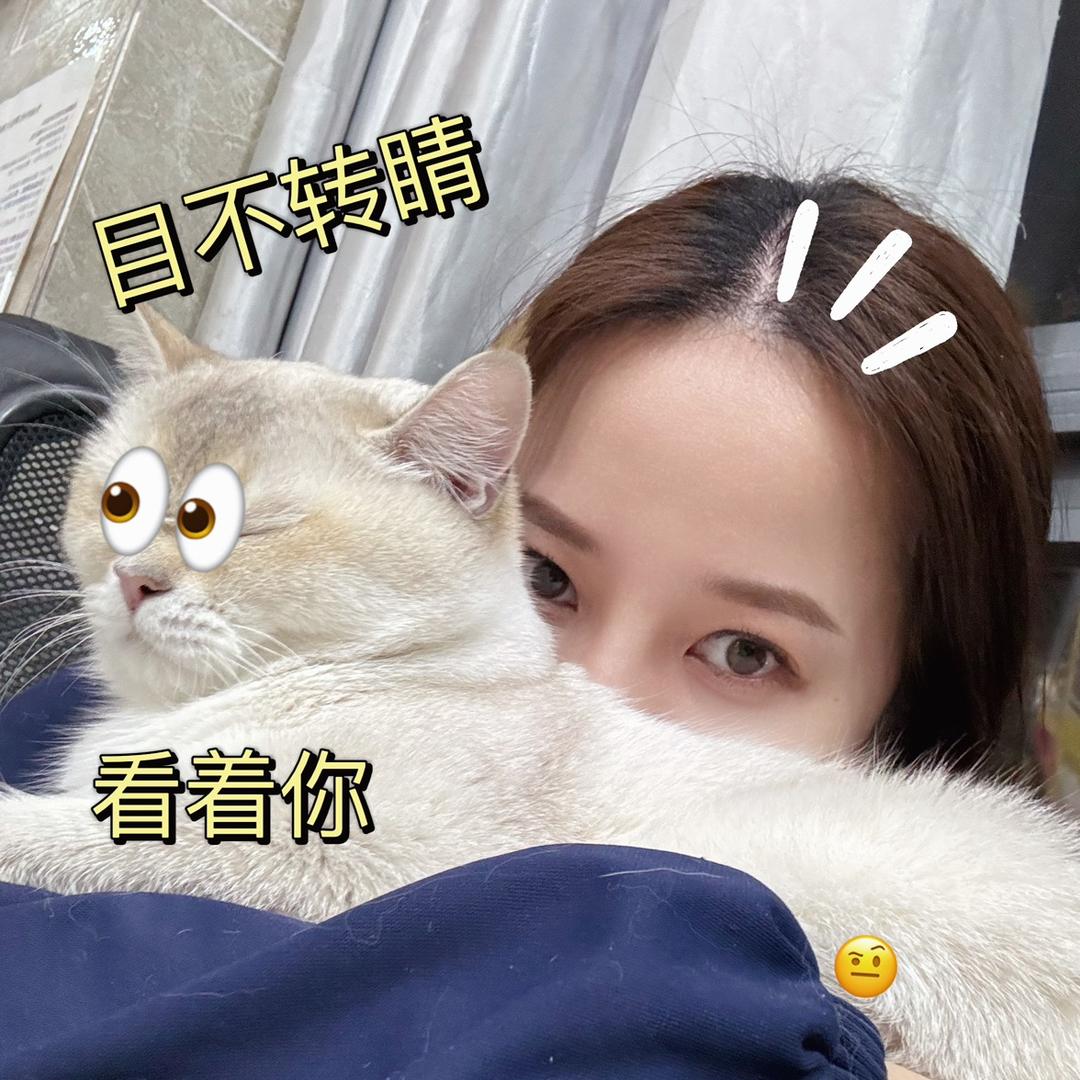 我🌳纹身猫～