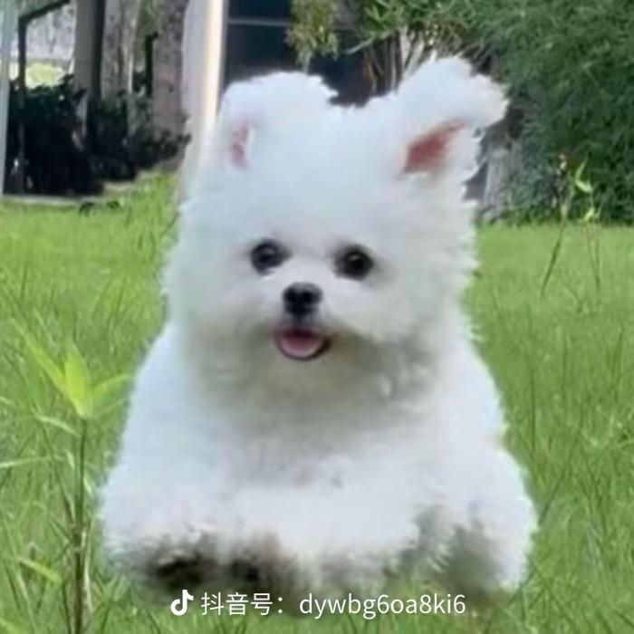 自主创业奶爸，随身带娃的第N天