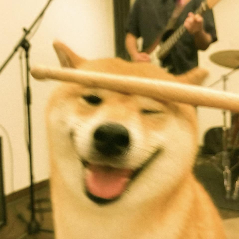 小桃鼠🥨