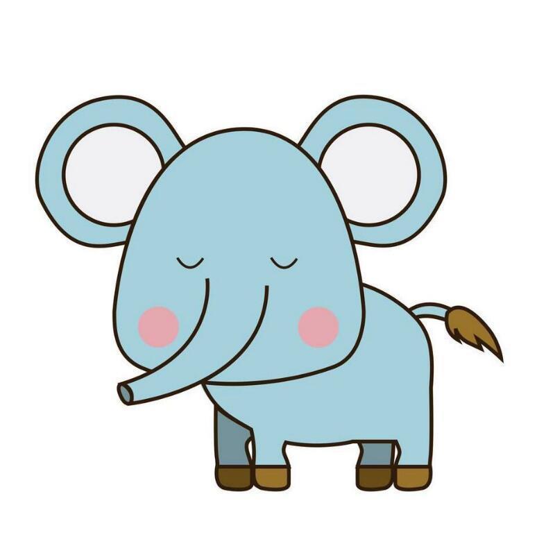 大耳象民族服装