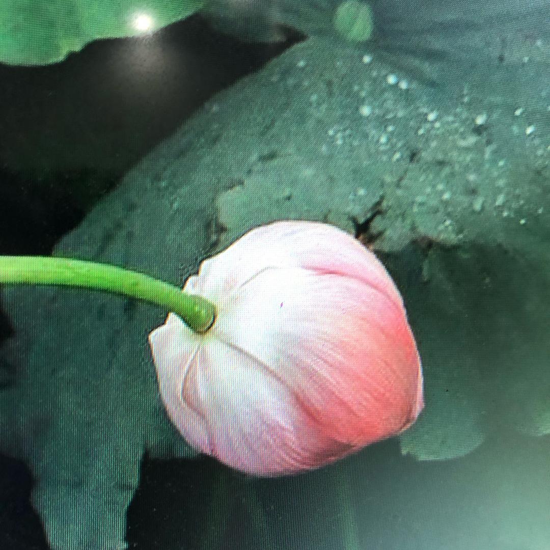 常平小何建材批发日常号