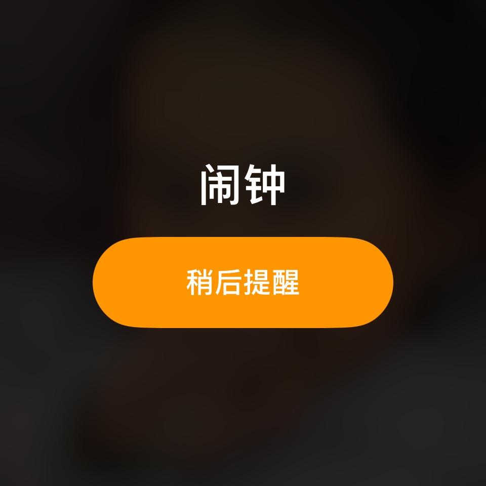 夕阳武士527
