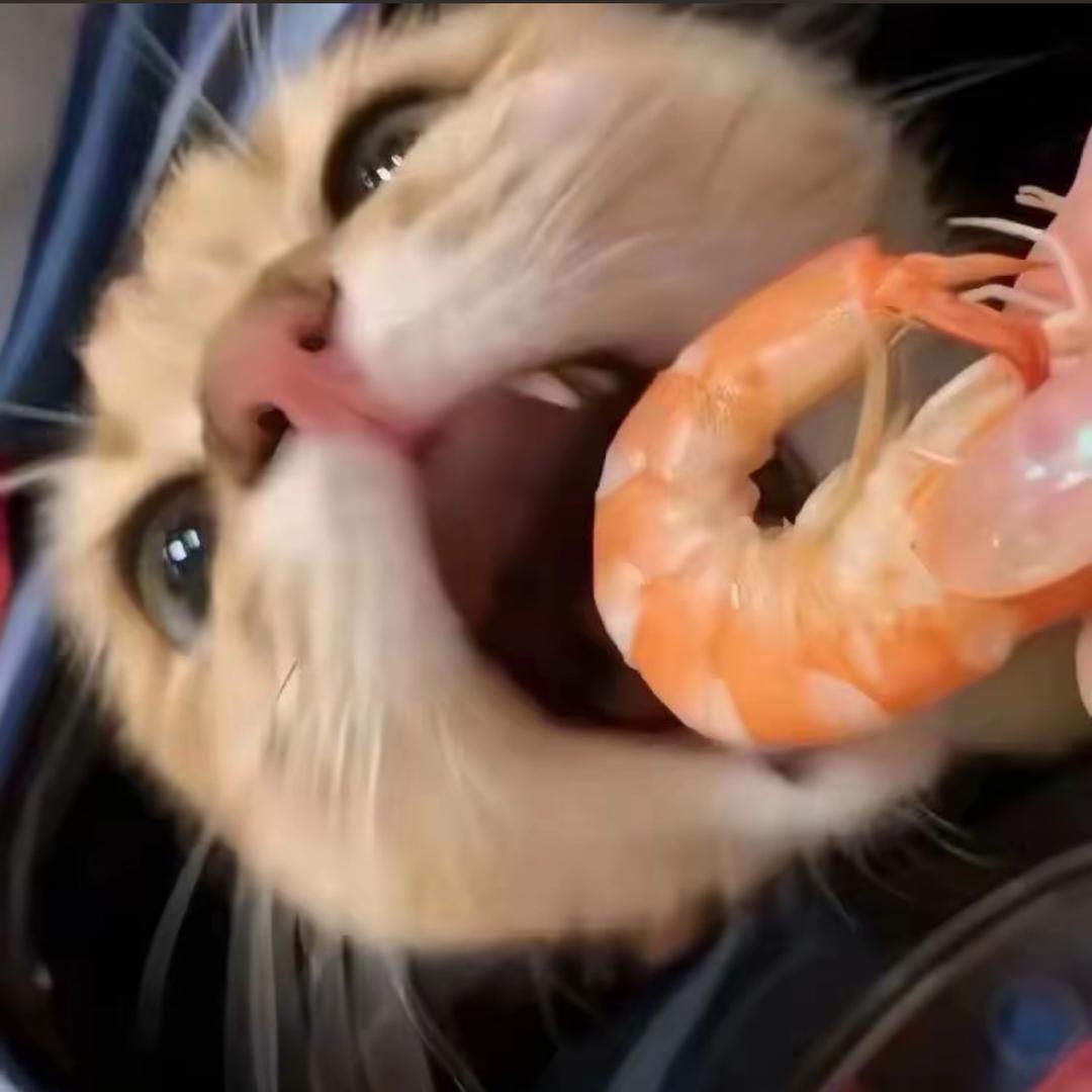 鸡哔你