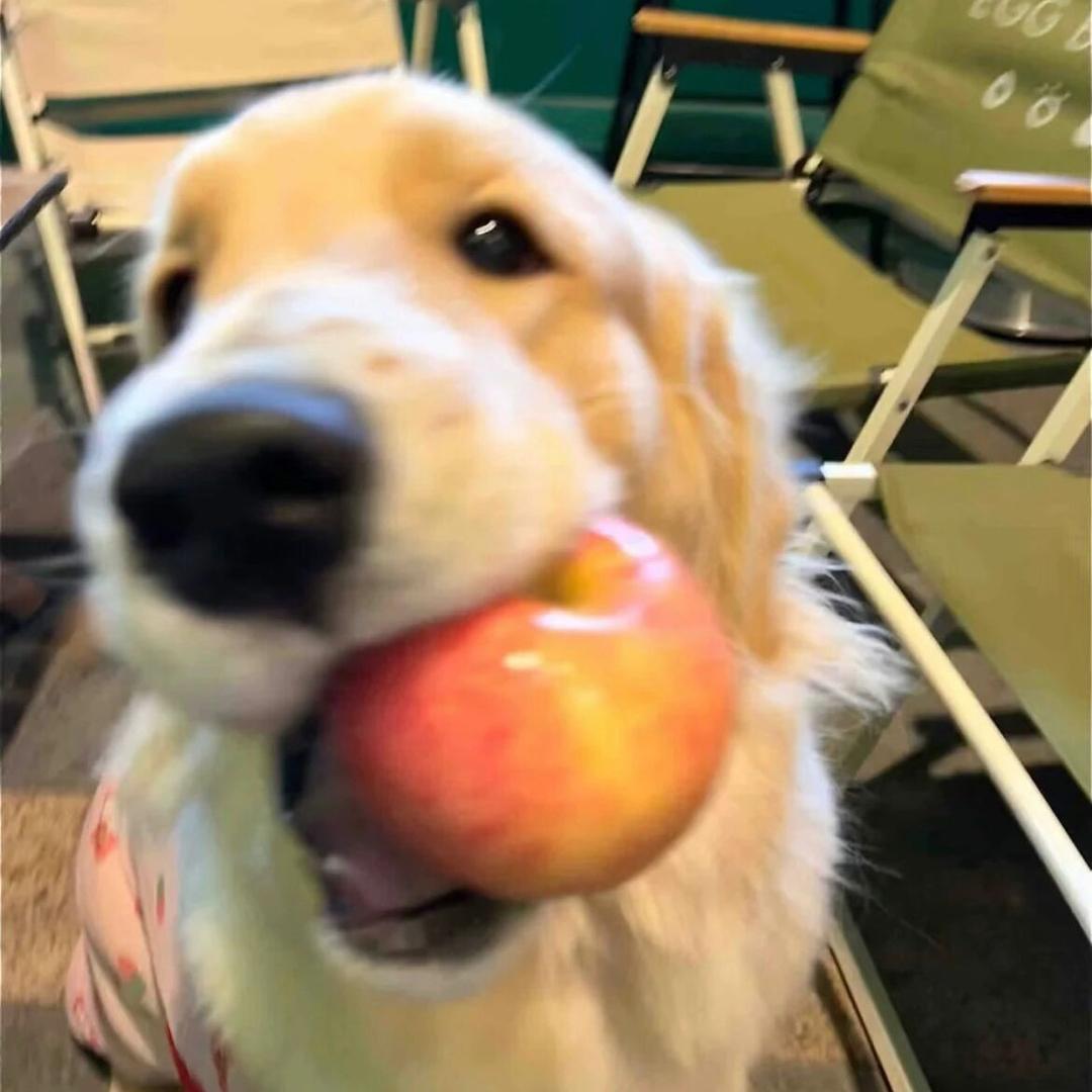 好运运运运运！！