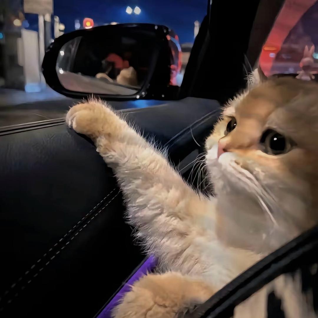 TVT