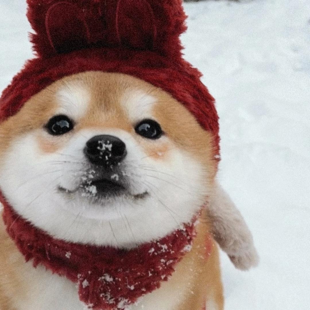 公主.